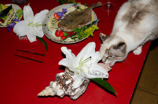Buffet Campaign